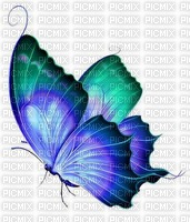 Butterfly in Blue - darmowe png