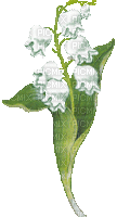 muguet lily of the valley gif - Free animated GIF