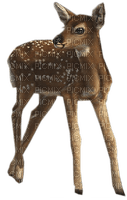 deer bp - png grátis