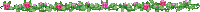 rose plant divider - 免费动画 GIF