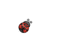 Ladybug Mariquita - GIF animé gratuit