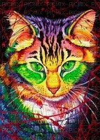 chat coloré - 免费PNG