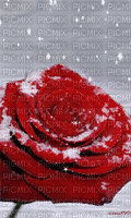 rosemab - Ücretsiz animasyonlu GIF