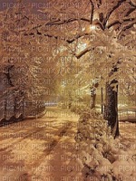 Background Winter Night - PNG gratuit