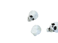 skulls - GIF animate gratis
