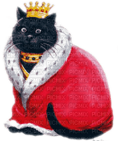 cat queen reine de chat - PNG gratuit