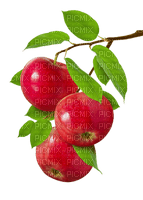 Яблоки - PNG gratuit