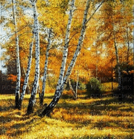 Rena Hintergrund Herbst Wald - png ฟรี