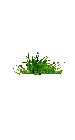 Трава - Kostenlose animierte GIFs