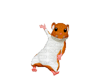 Hamster - Bezmaksas animēts GIF