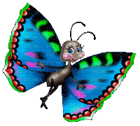 красочная бабочка - GIF เคลื่อนไหวฟรี