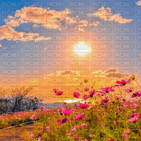 Y.A.M._Summer landscape background flowers - 免费PNG