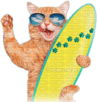 soave cat deco animals summer fish funny - Free PNG