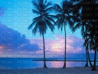 Plage - 免费PNG