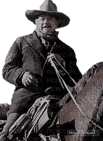 Cowboy hiver John Wayne - ingyenes png