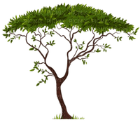 nbl - Tree - Free PNG