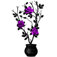 Gothic.Roses.Black.Purple