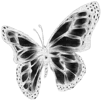 webcore butterfly - PNG gratuit