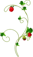 soave deco strawberry branch red green - ingyenes png