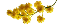 Flowers yellow bp - бесплатно png