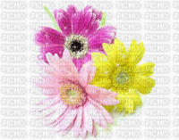 image encre animé effet scintillant briller fleurs printemps anniversaire edited by me - Free animated GIF