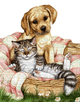 cat and dog - png grátis