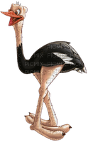 Kaz_Creations Ostrich  Birds Bird - PNG gratuit