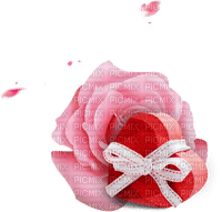 Valentine Rose - zdarma png