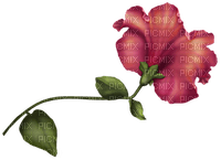 Flowers pink bp - PNG gratuit