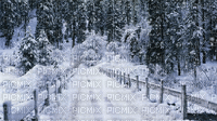 nieve - Bezmaksas animēts GIF