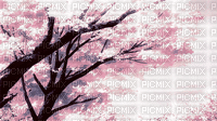 MMarcia gif flores de cerejeira anime - GIF animado grátis
