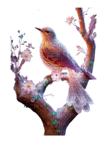 loly33 oiseaux printemps - Free PNG