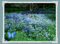 Paysage. Landscape.Blue.Fleurs.Victoriabea