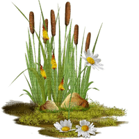 Schilf, Pauken, Gras, Blumen - 免费PNG