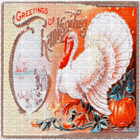 thanksgiving milla1959 - Δωρεάν κινούμενο GIF
