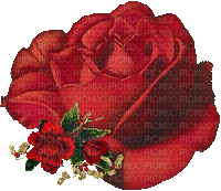 rosa roja - GIF animado grátis