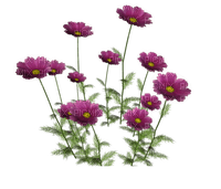 fleurs - 無料png