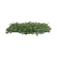 grass - Free PNG