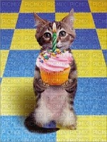 gato cumpleaños - ingyenes png