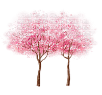 Pink.Arbre.Tree.Spring.Victoriabea - PNG gratuit