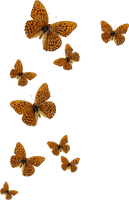 Butterfly  Brown Beige - Bogusia - ücretsiz png