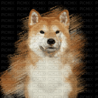 Dog-RM - 免费PNG