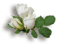 Fleur.Flowers.Roses.Victoriabea - 無料png