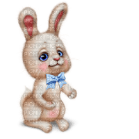 kanin-bunny