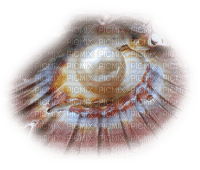 Tube Coquillage - Free PNG