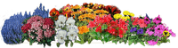 Kaz_Creations Garden Deco Flowers - besplatni png