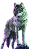 Rena grey Wolf Animal Tier - бесплатно png