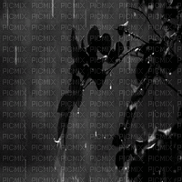 regen rain milla1959 - Animovaný GIF zadarmo