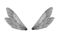 wings katrin - Free PNG