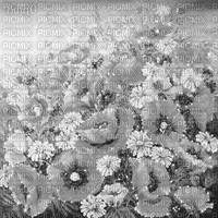 Y.A.M._summer background flowers black-white - Gratis animeret GIF